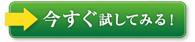 今すぐ試してみる！