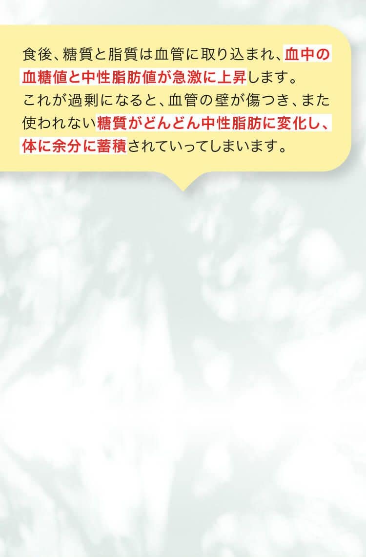 食後、糖質と脂質は血管に取り込まれ、血中の血糖値と中性脂肪値が急激に上昇します。これが過剰になると、血管の壁が傷つき、また使われない糖質がどんどん中性脂肪に変化し、体に余分に蓄積されていってしまいます。
