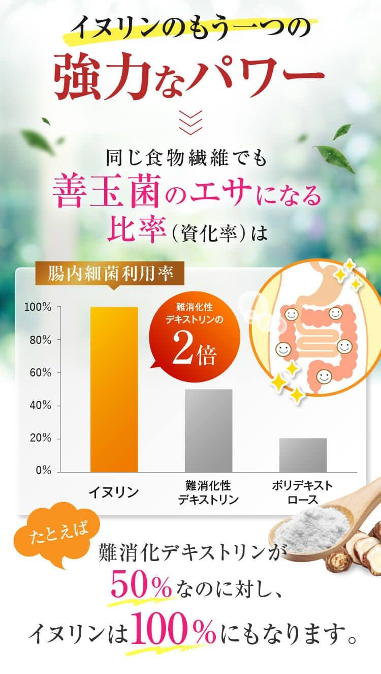 イヌリンのもう一つの強力なパワー