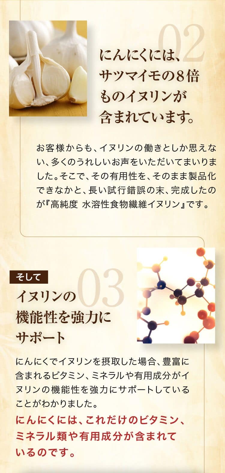 にんにくには、サツマイモの８倍ものイヌリンが含まれています。