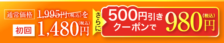 通常価格1995円を初回1480円。さらに500円引きクーポンで980円（税込み）